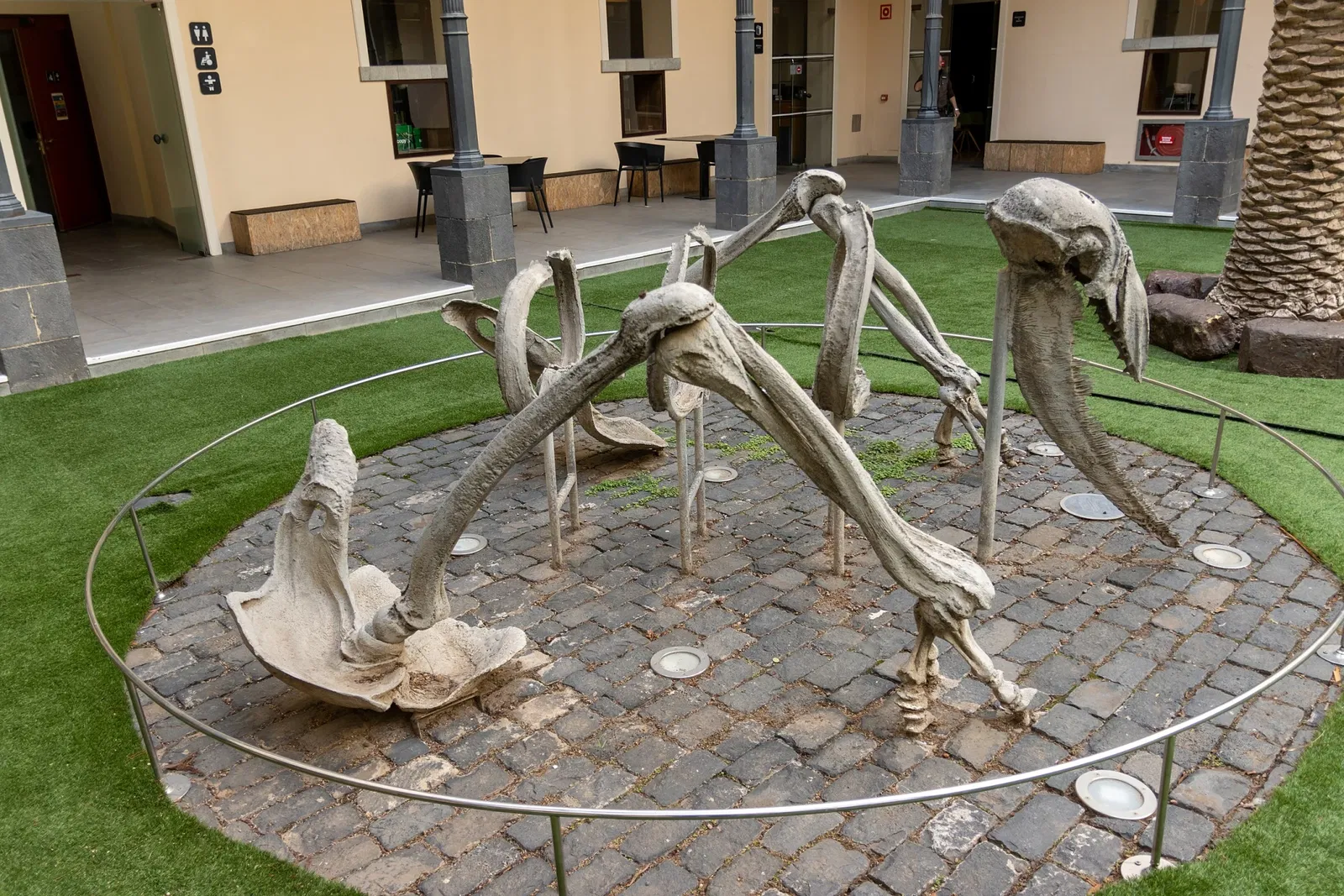 Museo della natura e dell'uomo