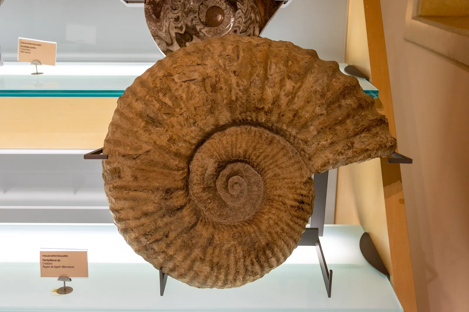 Museo della natura e dell'uomo