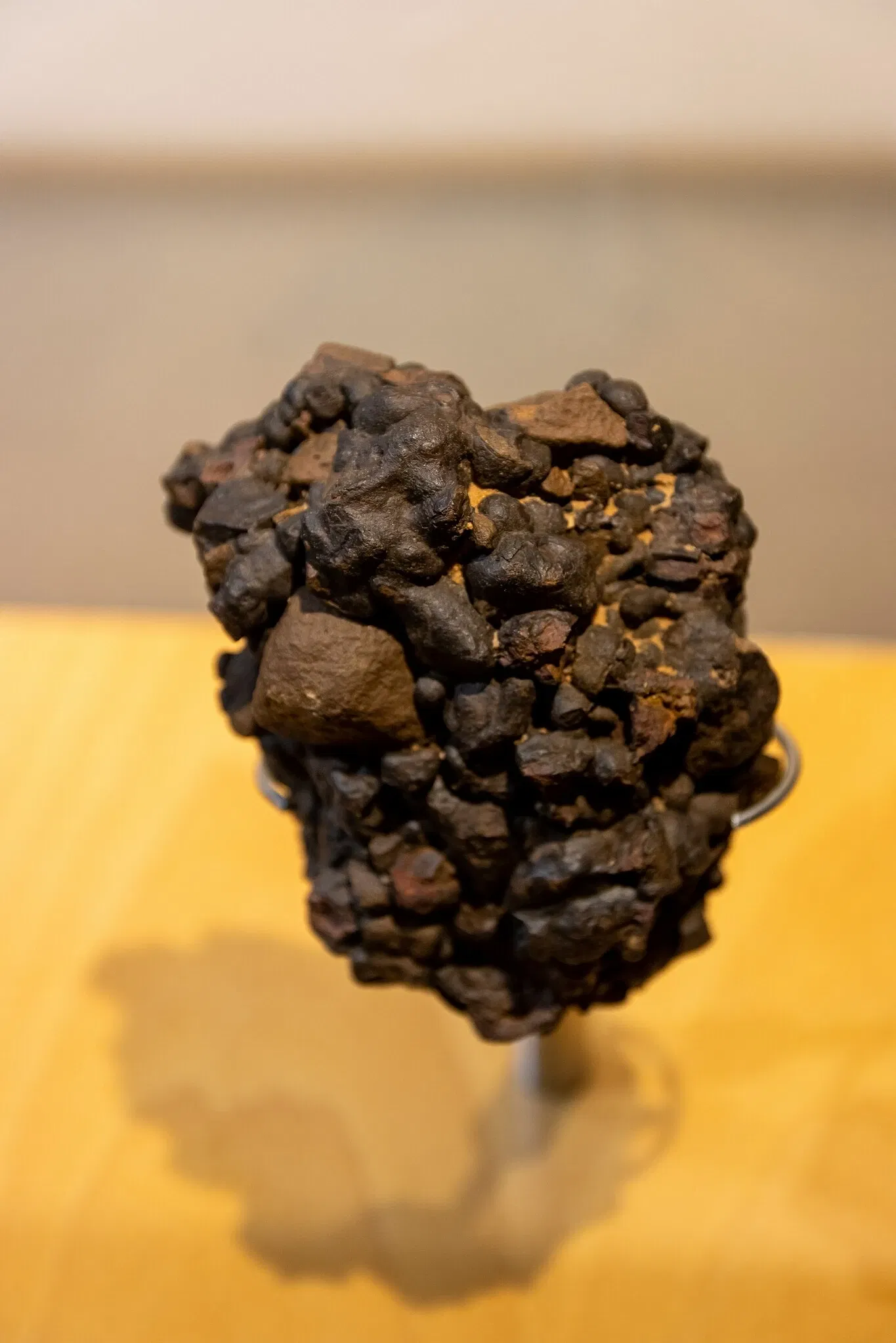 Museum of Nature and Archaeology