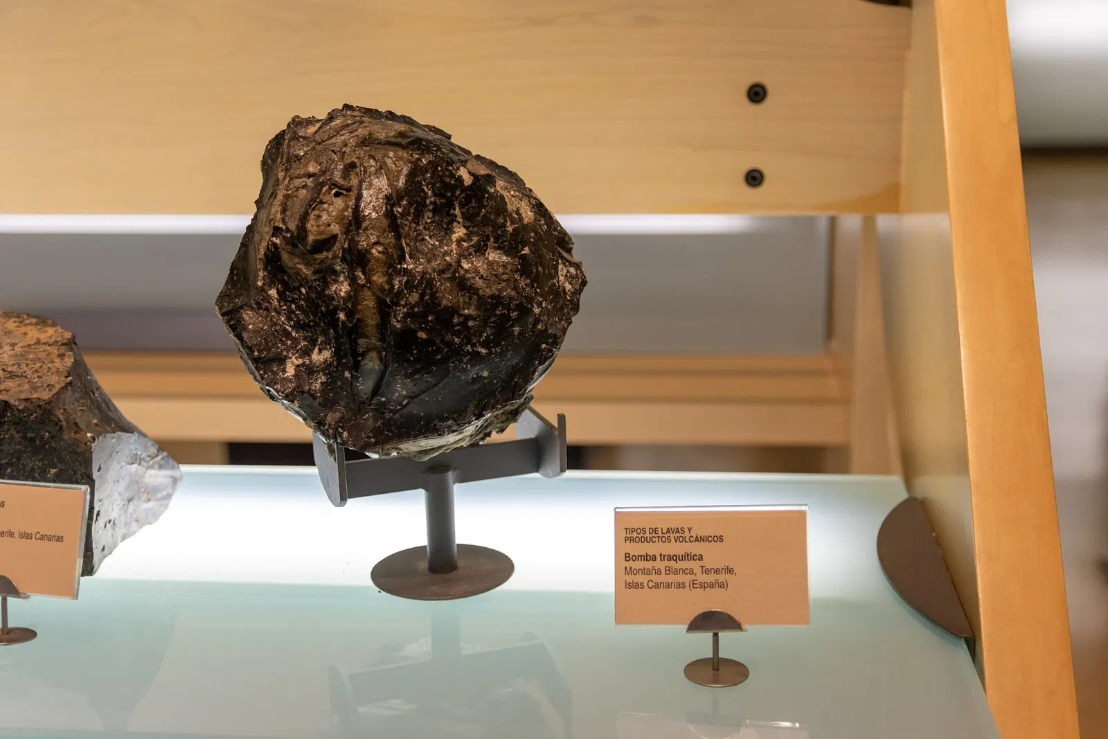 Museo della natura e dell'uomo