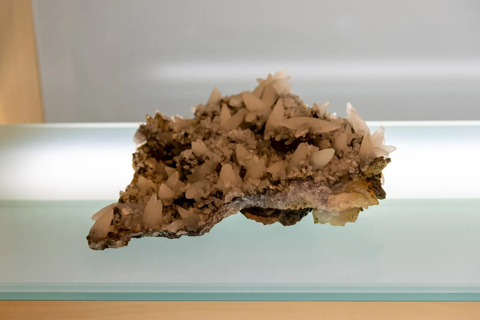 Museum of Nature and Archaeology