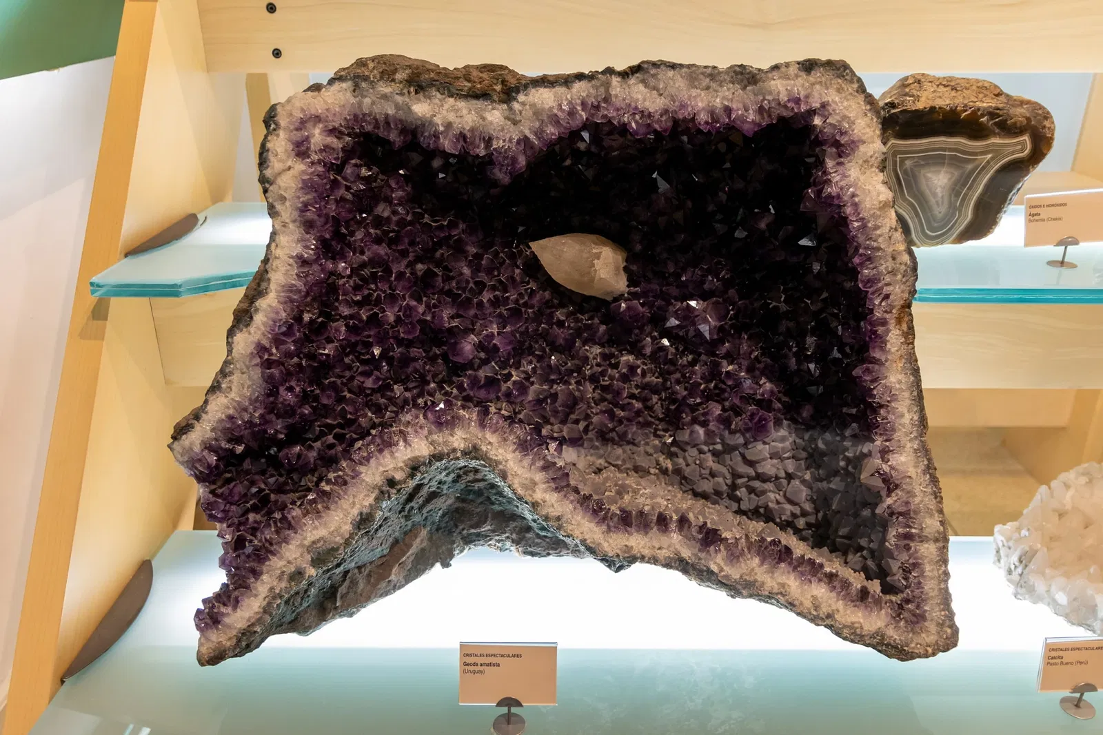 Museo de Naturaleza y Arqueología