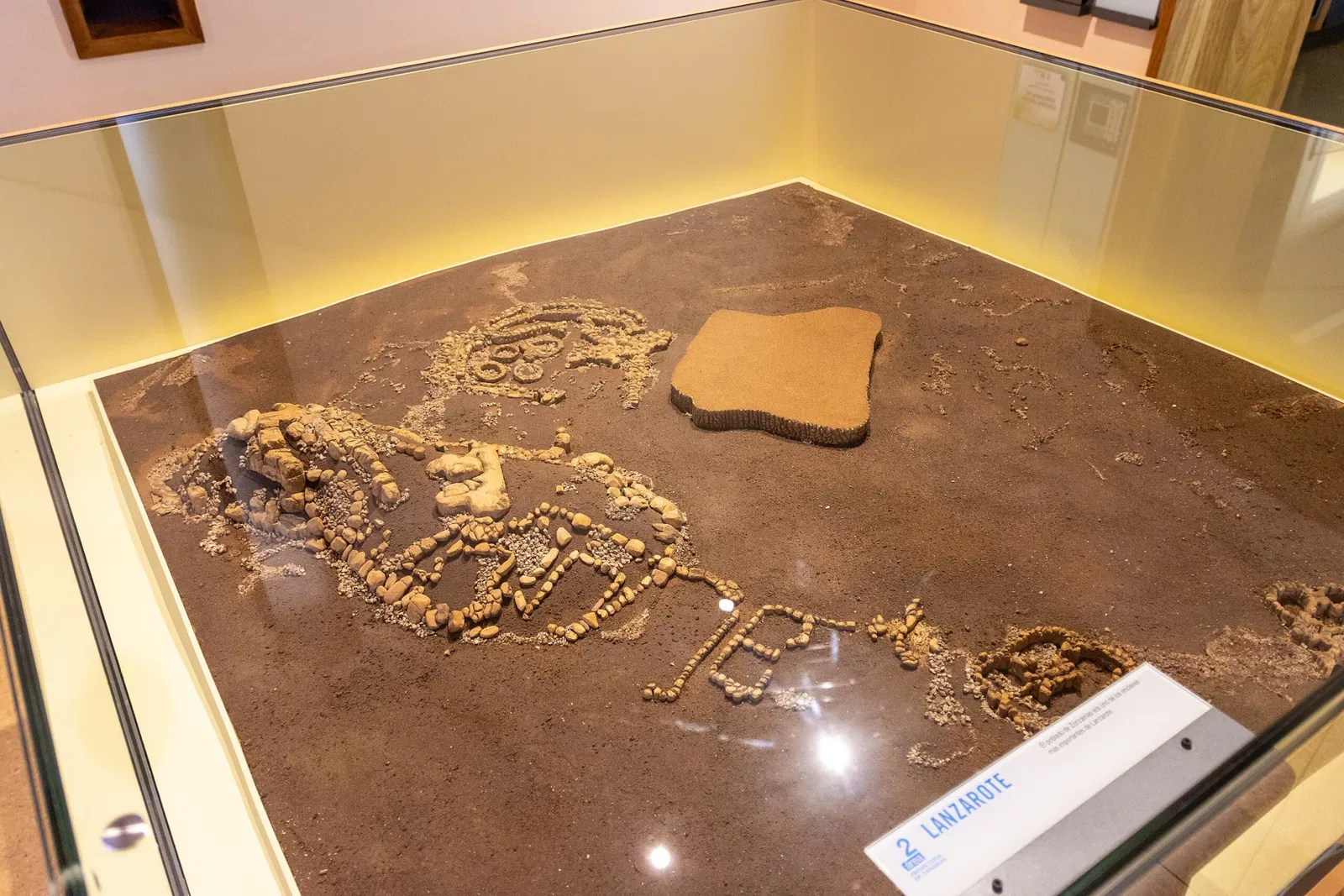 Musée de la Nature et de l'Homme