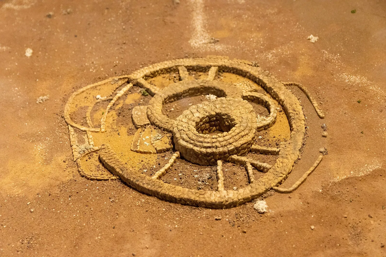 Museum of Nature and Archaeology