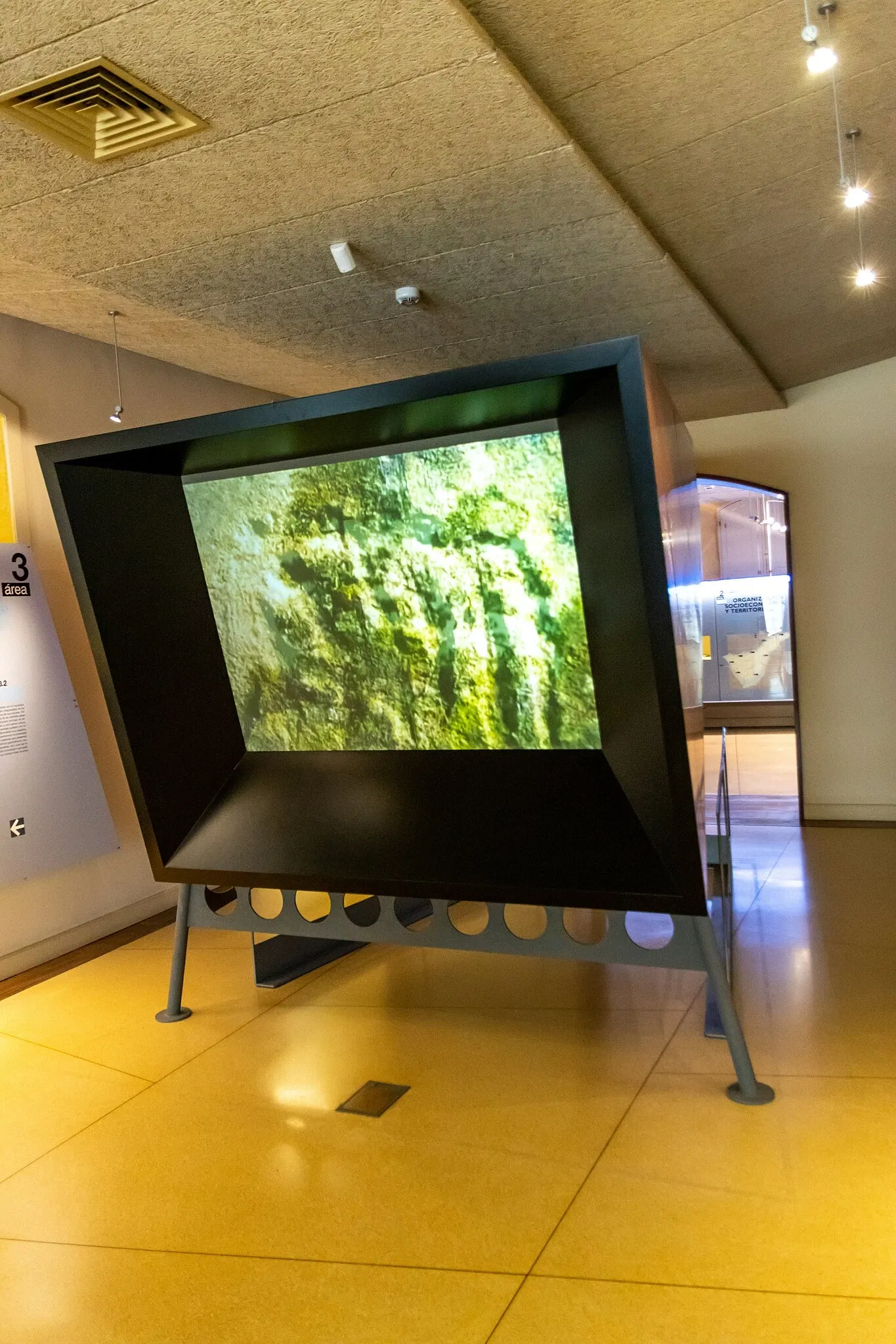 Museum of Nature and Archaeology