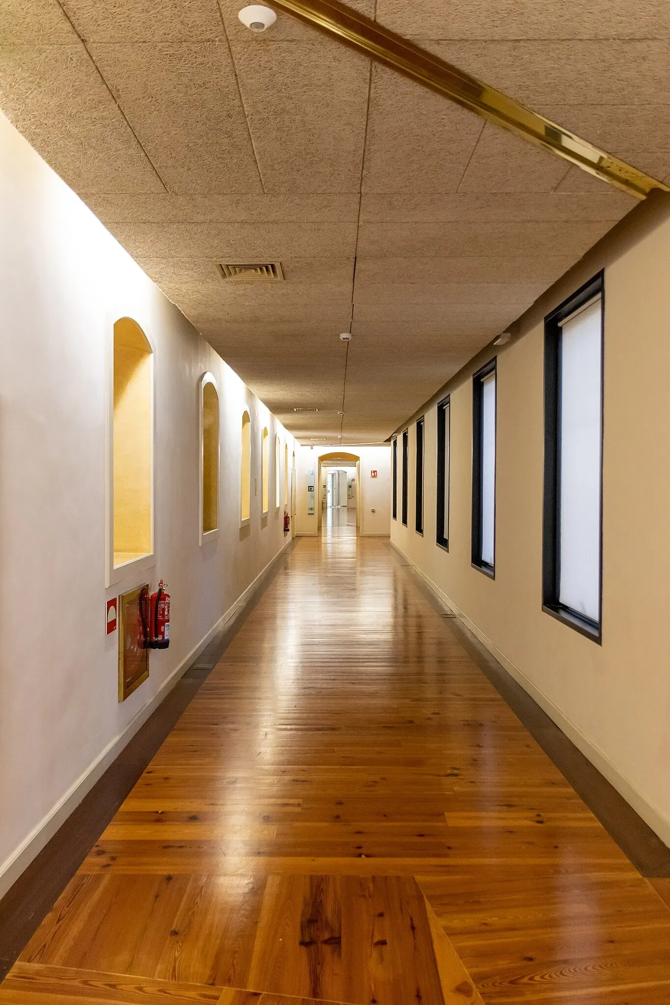 Museum of Nature and Archaeology