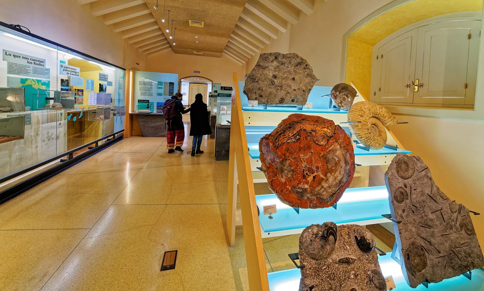 Museum of Nature and Archaeology