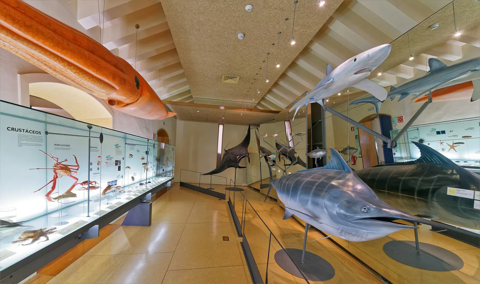 Musée de la Nature et de l'Homme