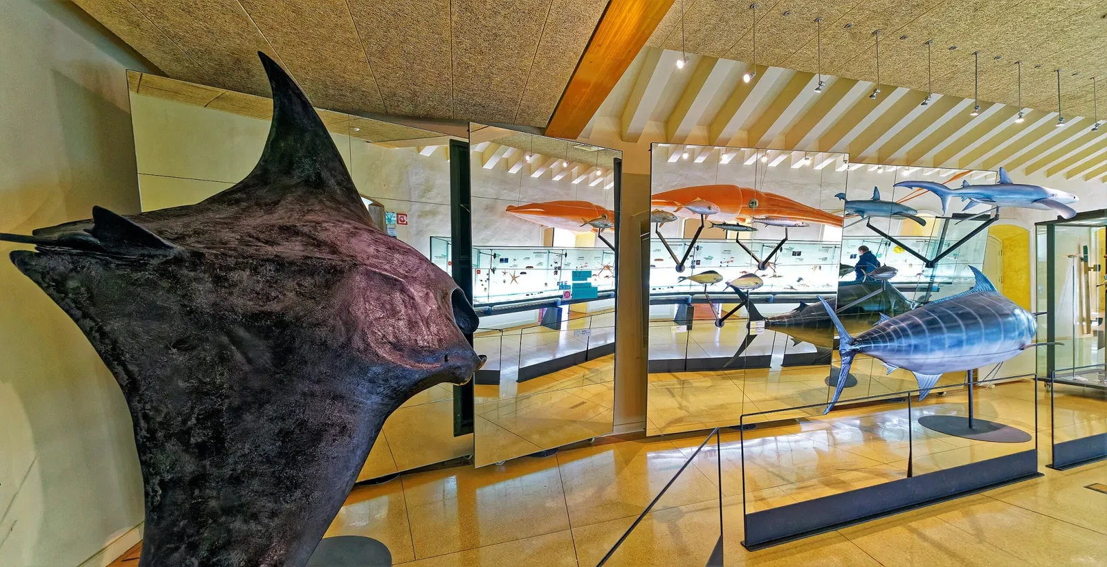 Museo de Naturaleza y Arqueología