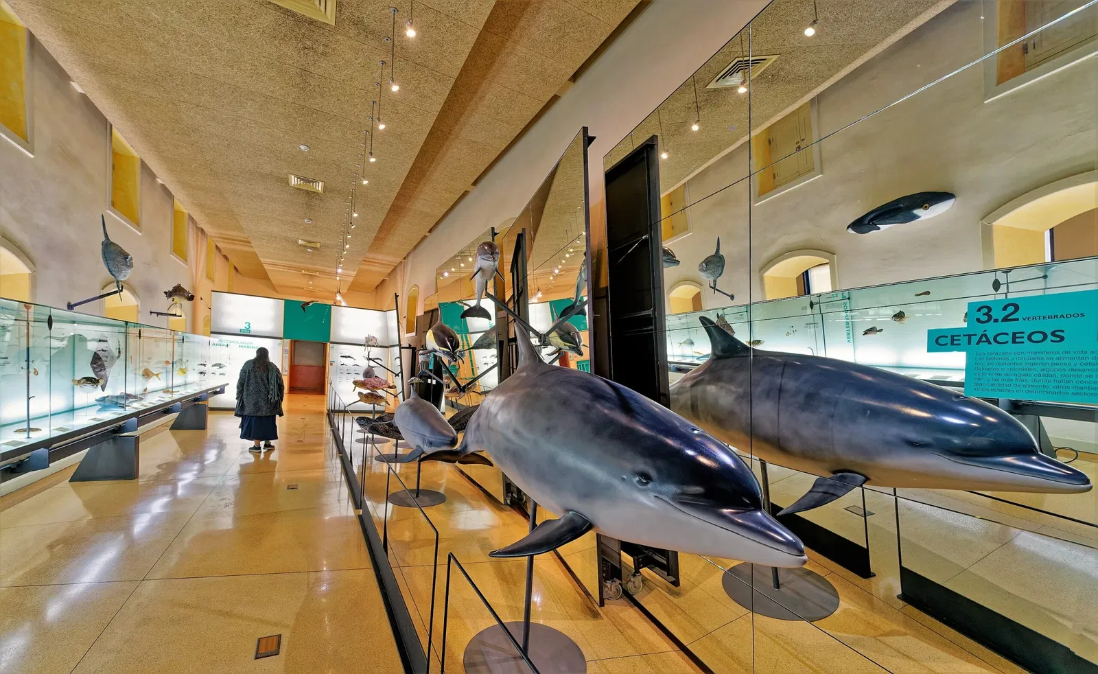 Museum of Nature and Archaeology