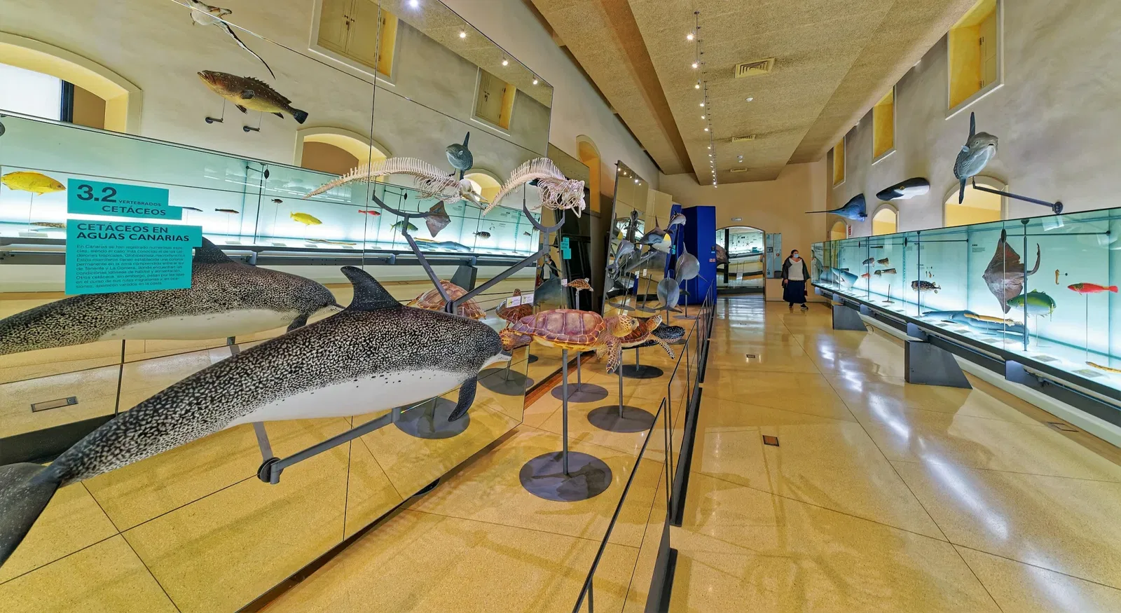 Museum of Nature and Archaeology