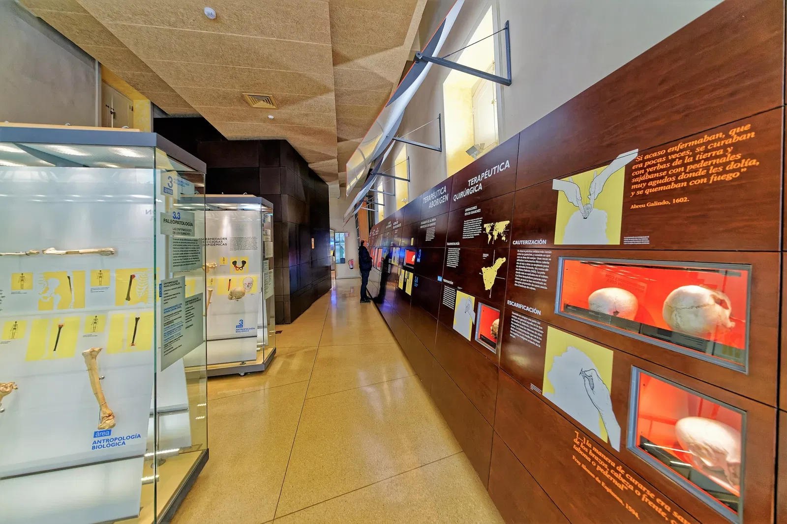 Museo de Naturaleza y Arqueología