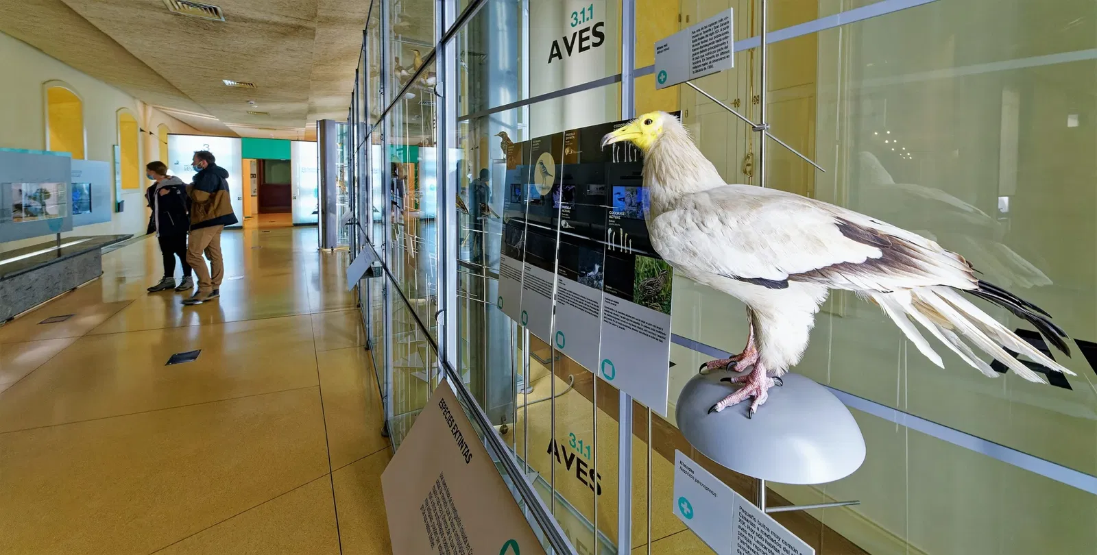 Museo de Naturaleza y Arqueología