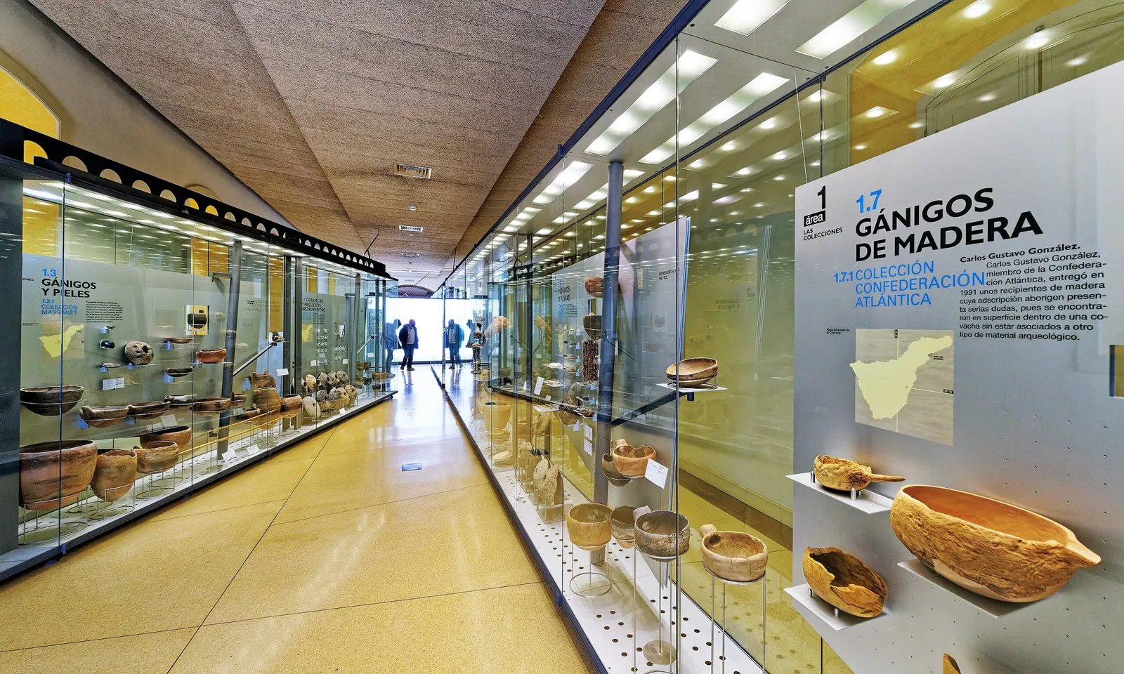 Museo della natura e dell'uomo