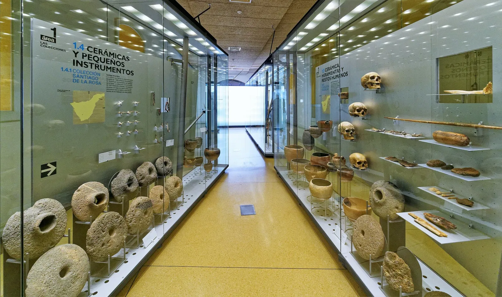 Museum of Nature and Archaeology