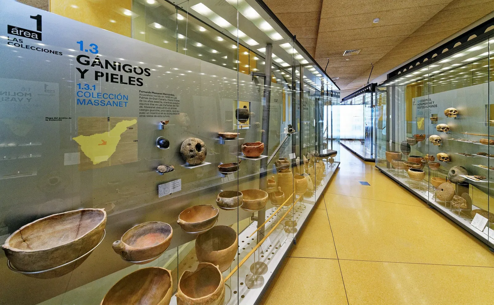 Museum of Nature and Archaeology