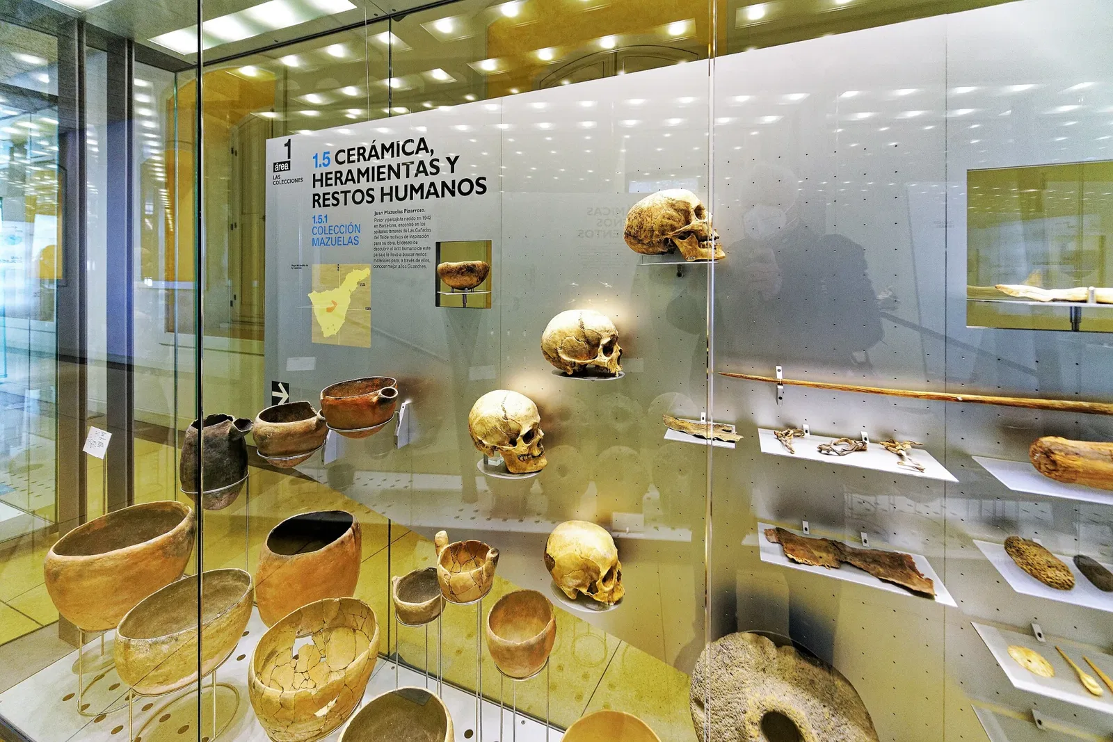 Museo della natura e dell'uomo