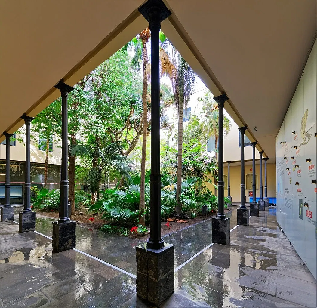 Museum of Nature and Archaeology