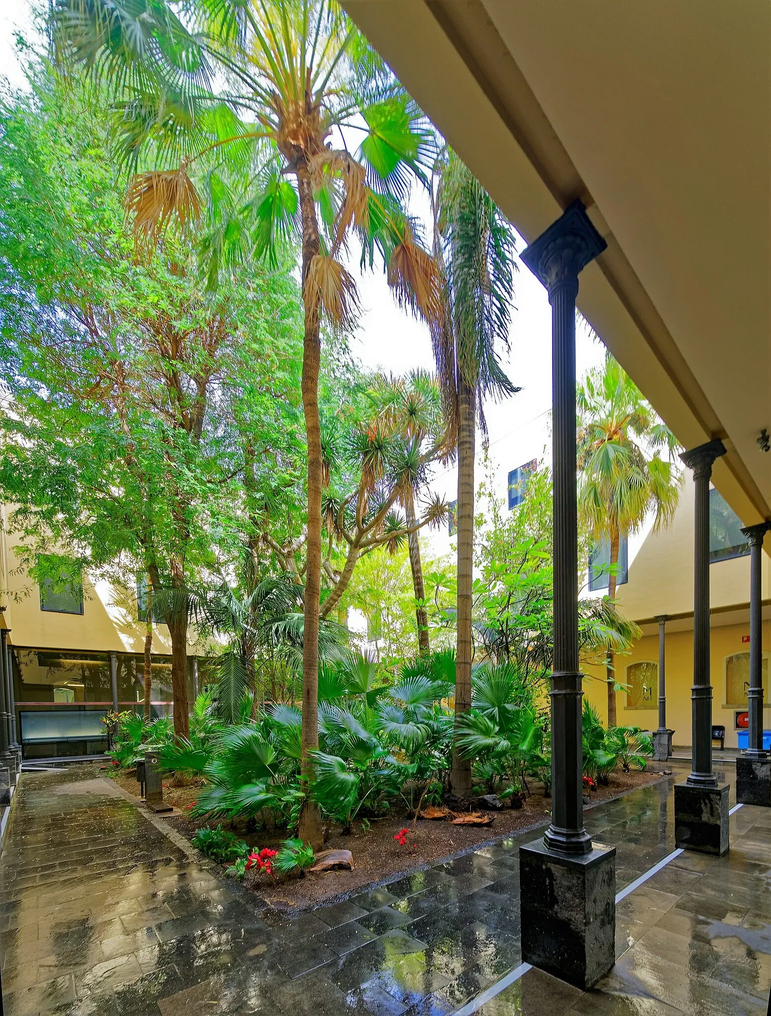 Museum of Nature and Archaeology