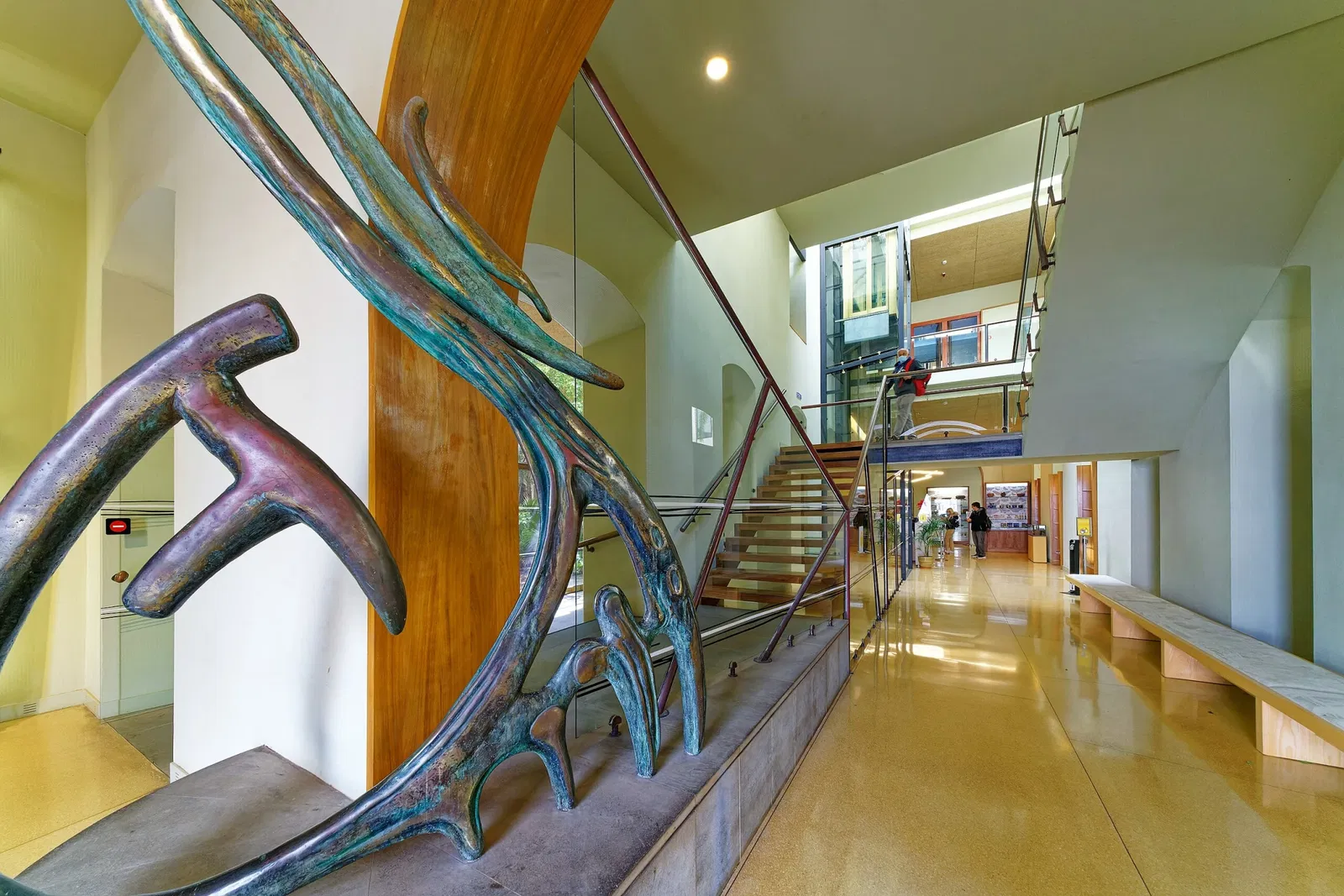 Musée de la Nature et de l'Homme