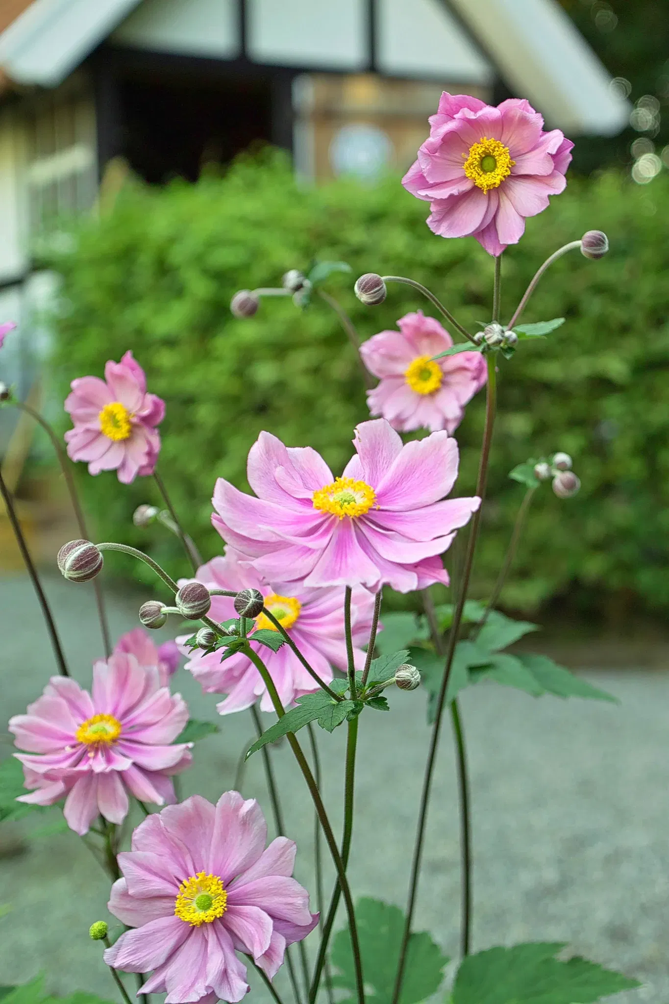 Museumshof Bad Oeynhausen