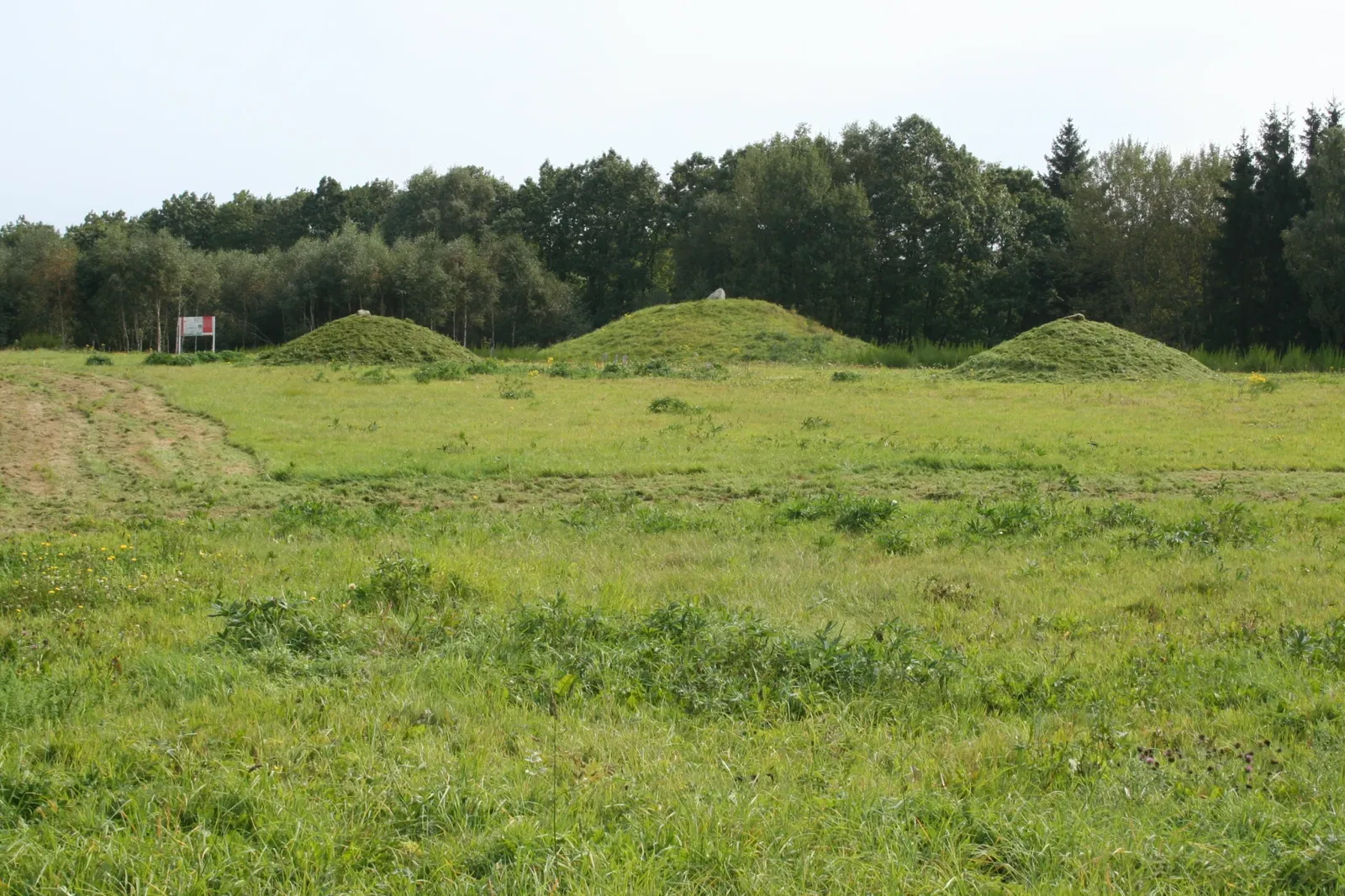 Archäologiepark Belginum