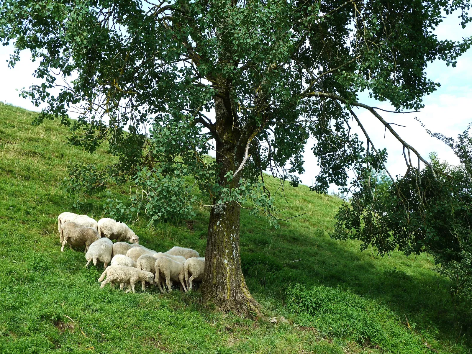 Schwäbisches Bauernhofmuseum Illerbeuren