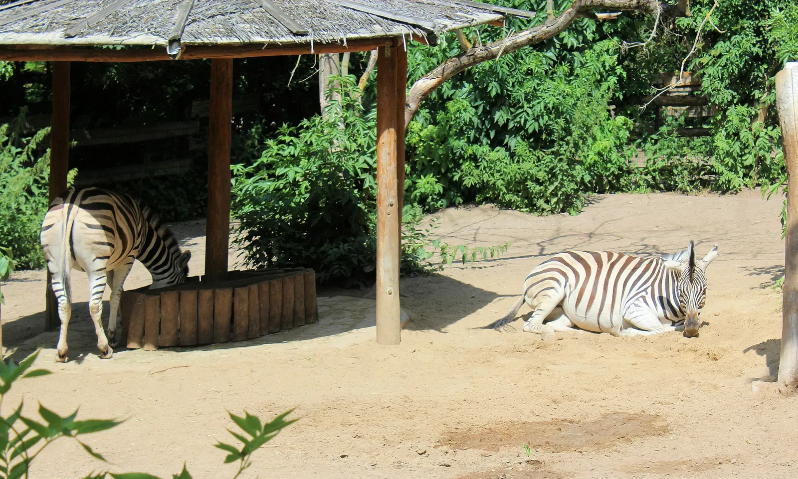 Zoo Aschersleben