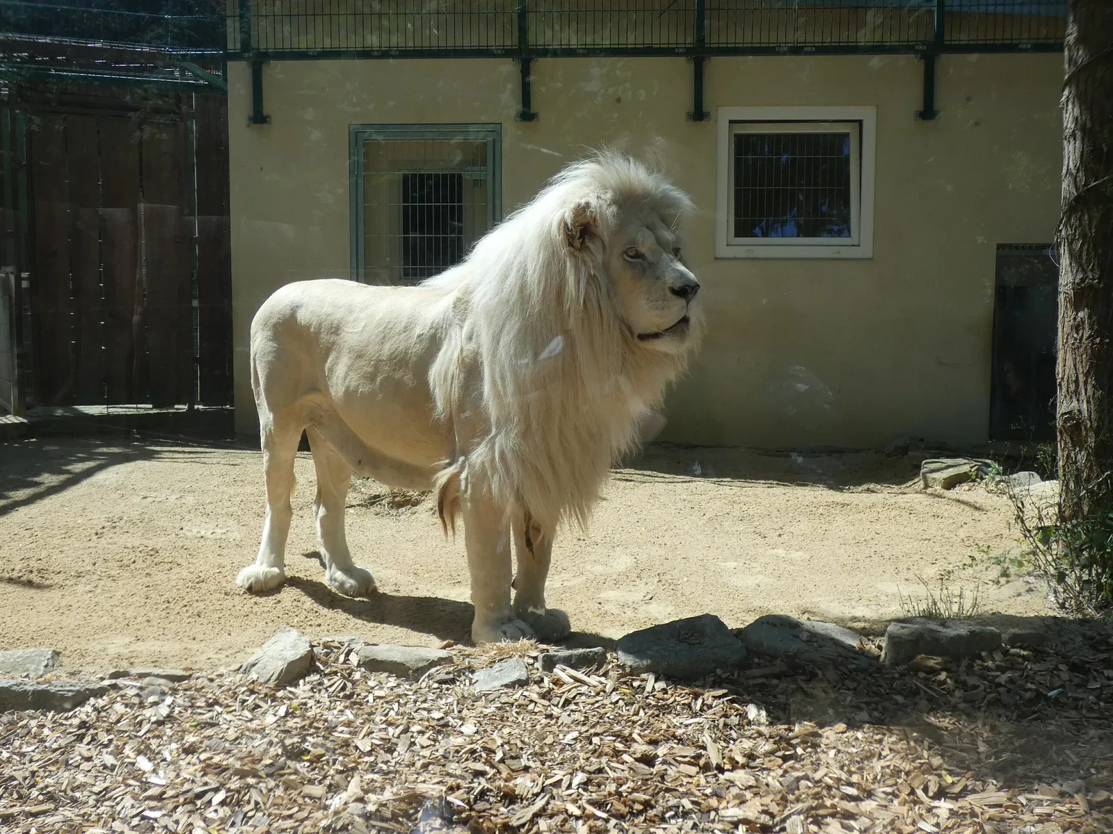 Zoo Aschersleben