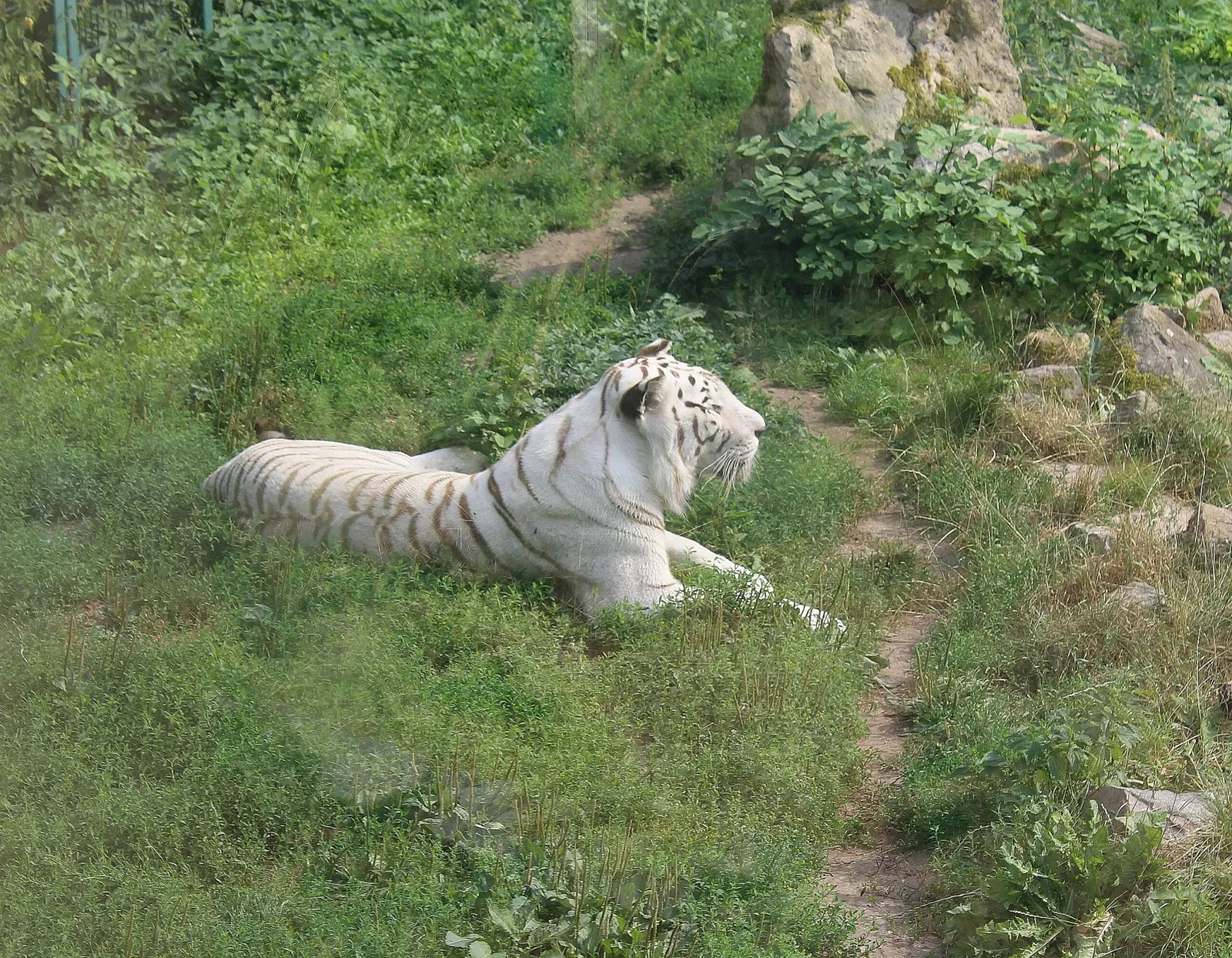 Zoo Aschersleben