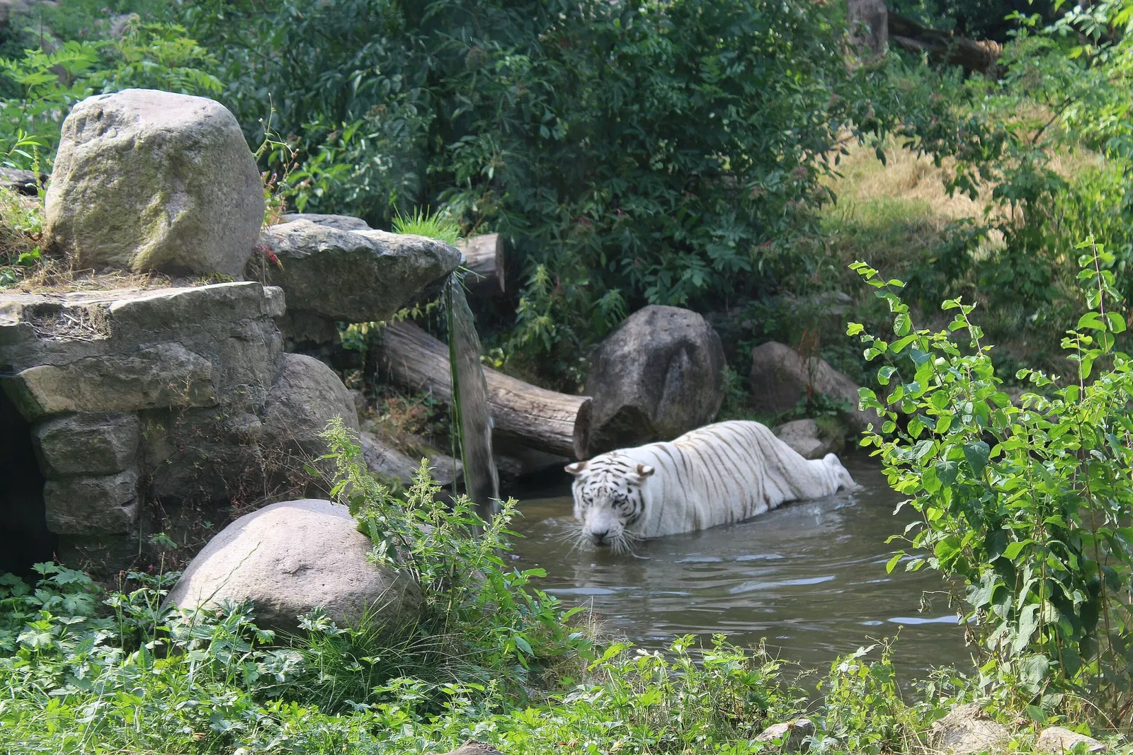 Zoo Aschersleben