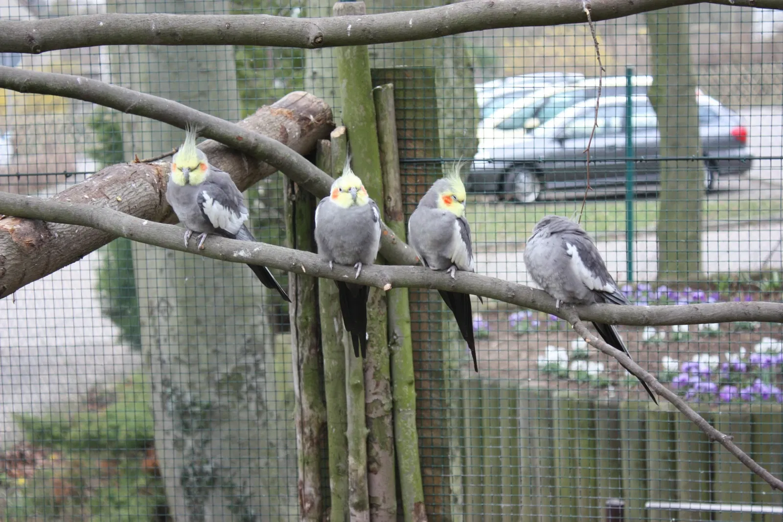 Zoo Aschersleben
