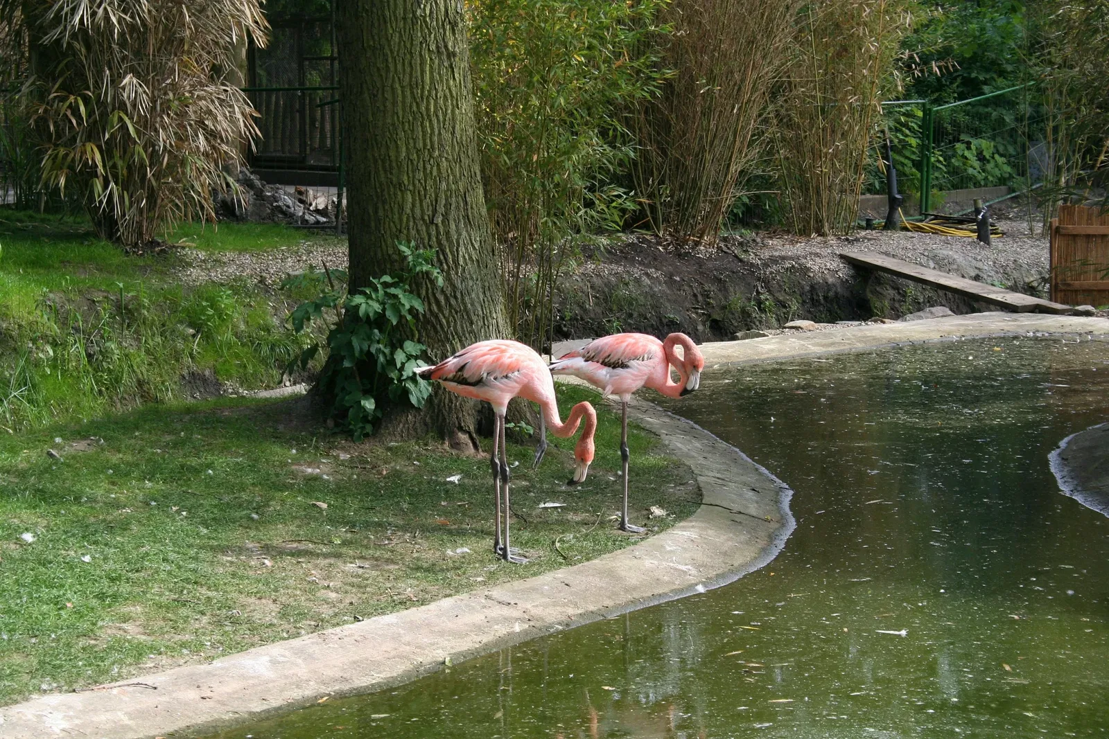 Tierpark Hamm