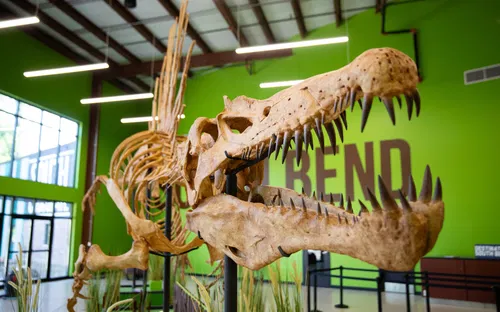 Indiana Dinosaur Museum