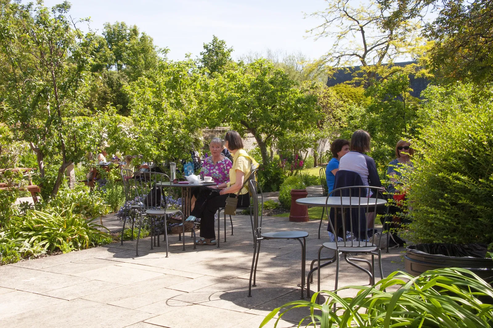 Museum of East Dorset