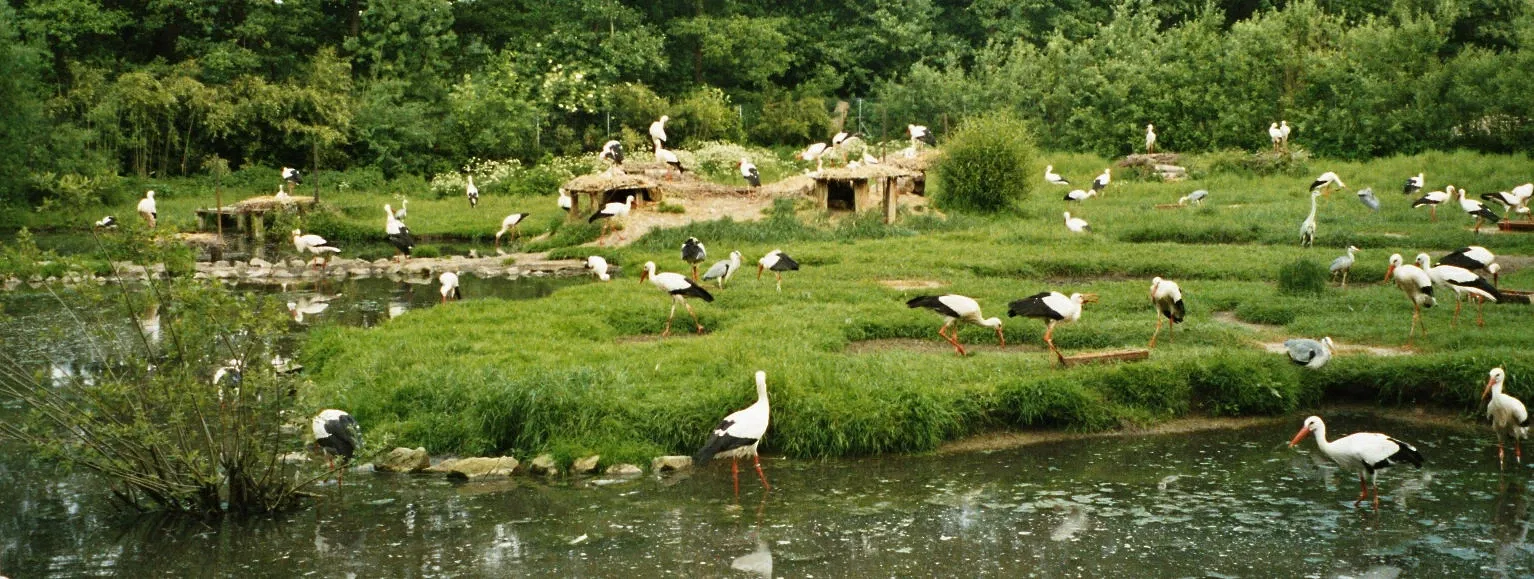 Naturzoo Rheine