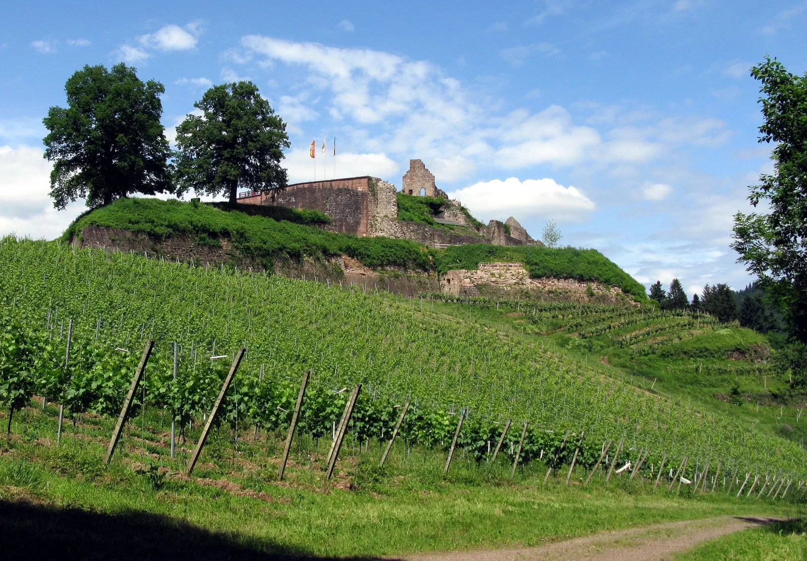Hochburg d'Emmendingen