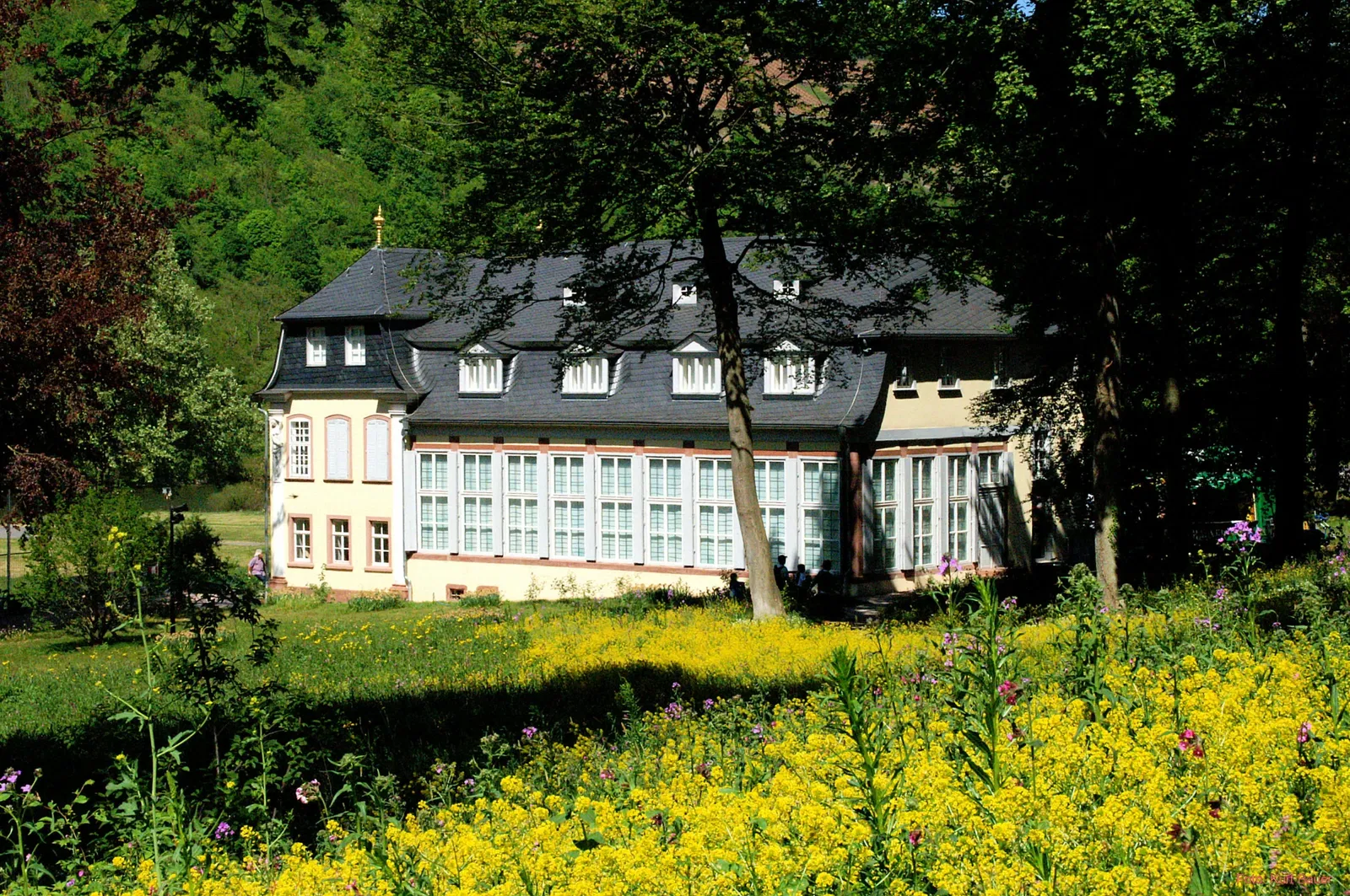 Grafschaftsmuseum Wertheim