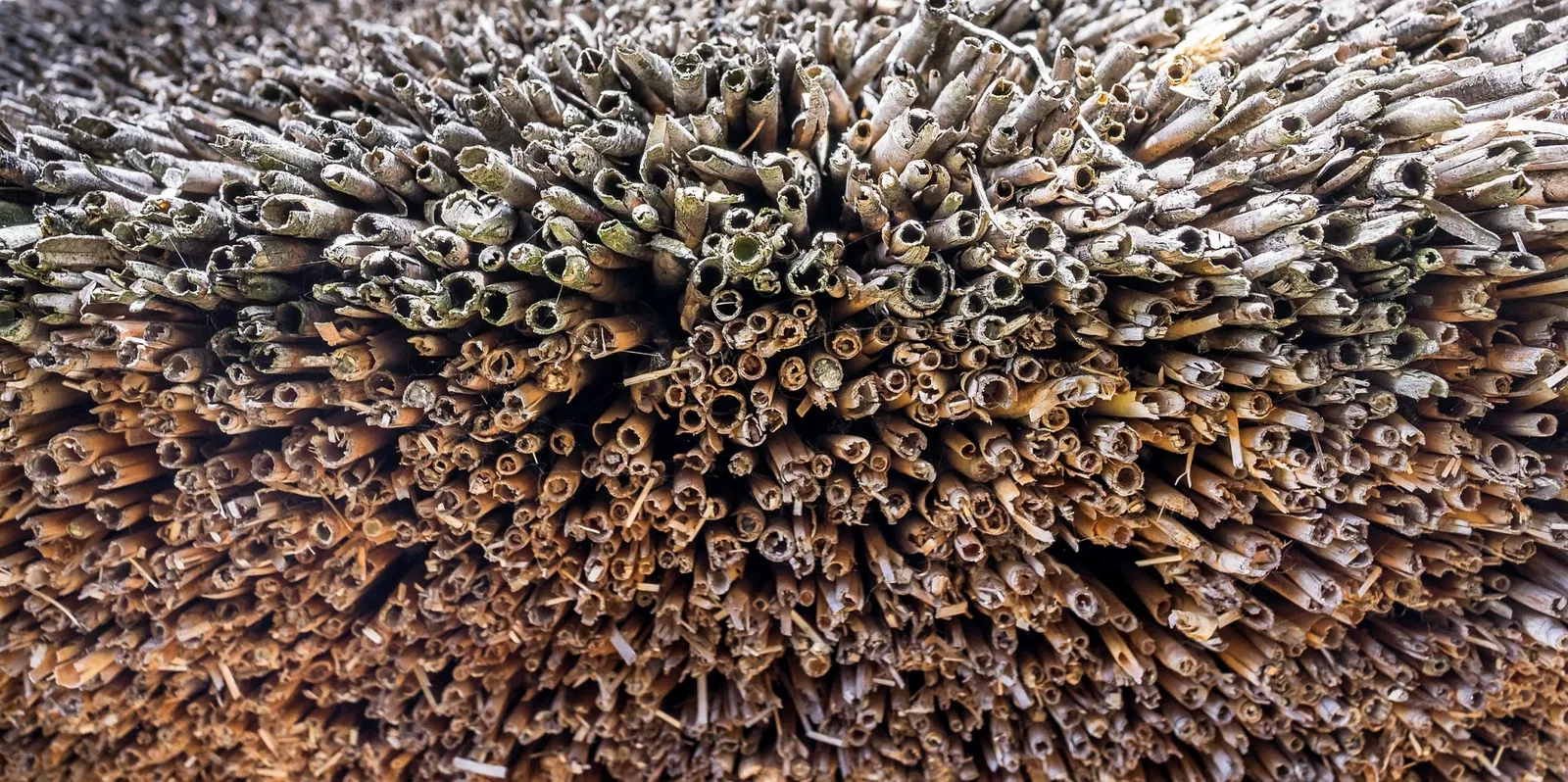 Eisenzeithaus Ostercappeln