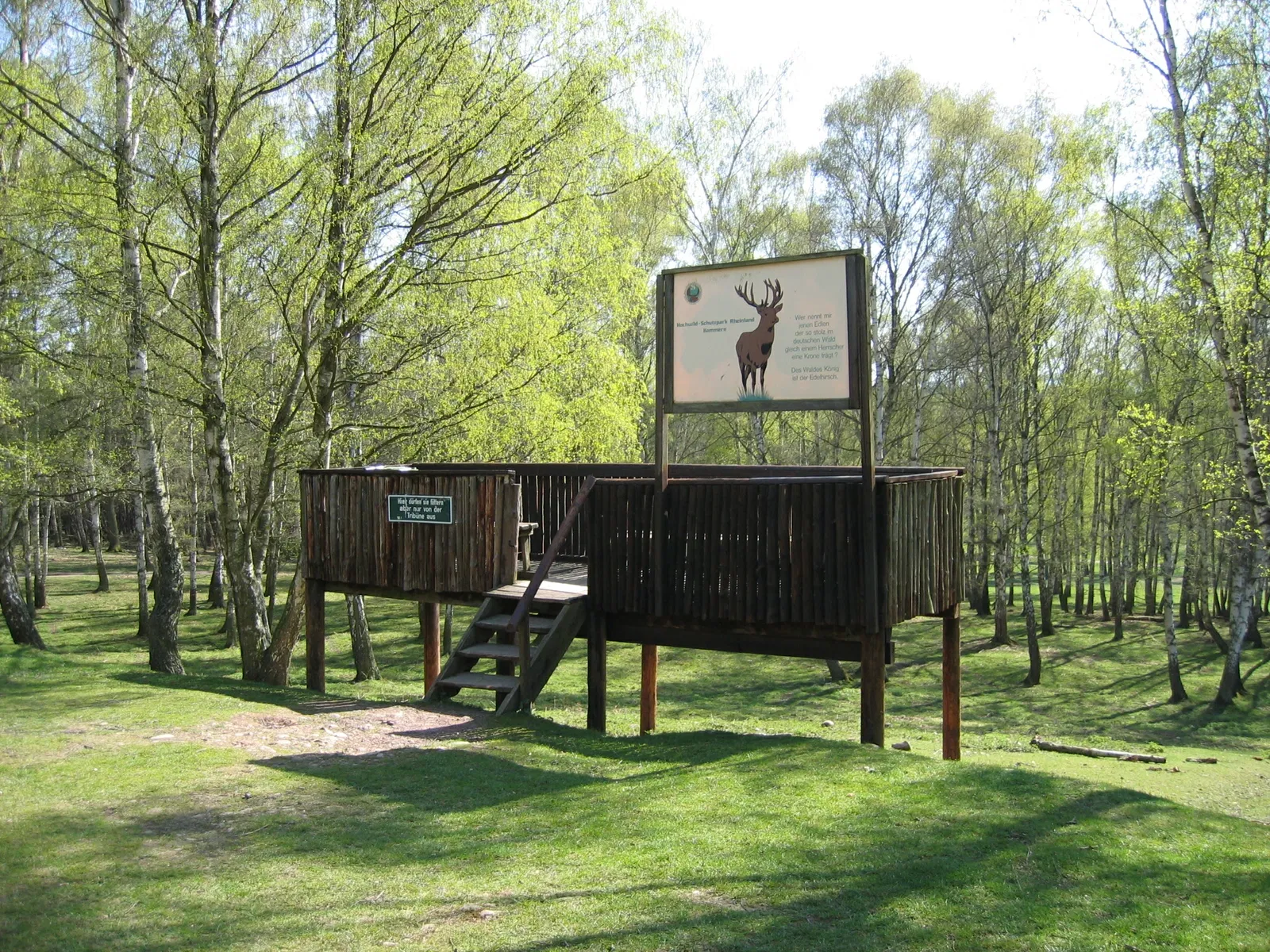 Hochwildpark Rheinland in Mechernich-Kommern