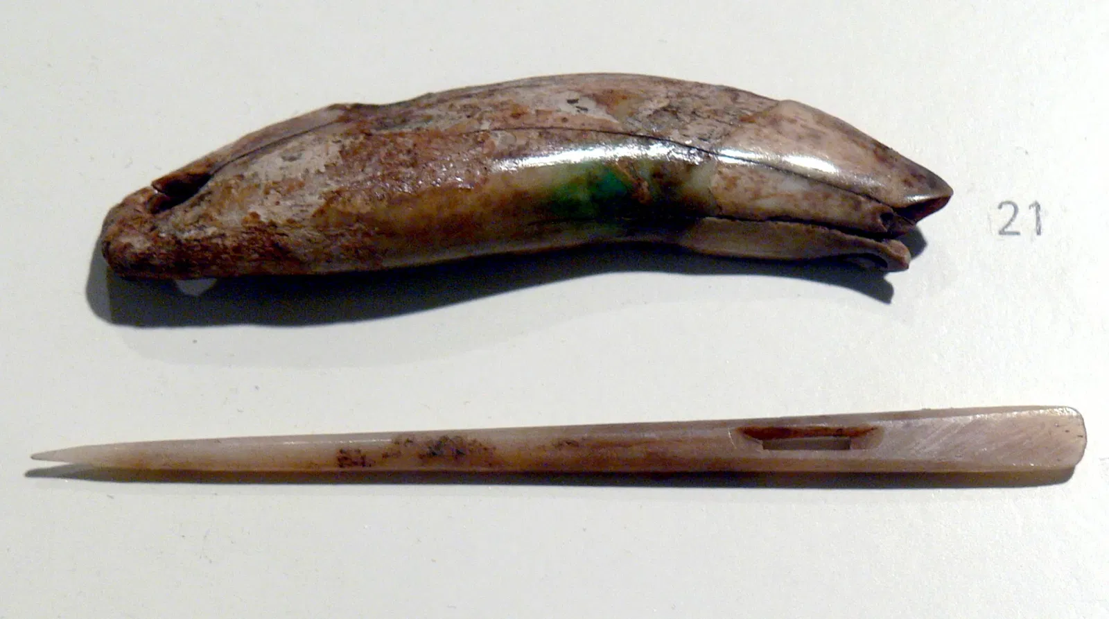 Archäologisches Museum Gunzenhausen