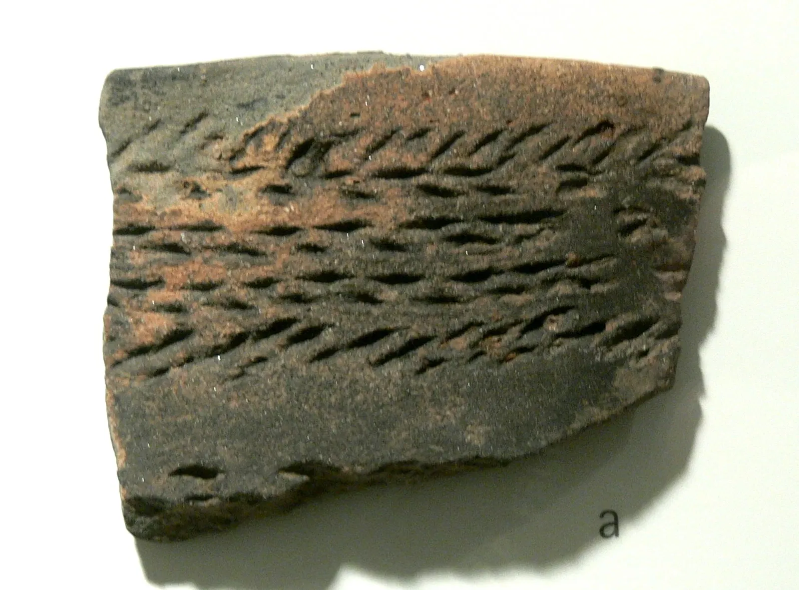 Archäologisches Museum Gunzenhausen