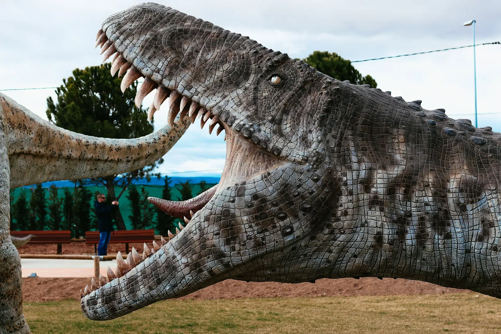 Dinosaur Theme Park