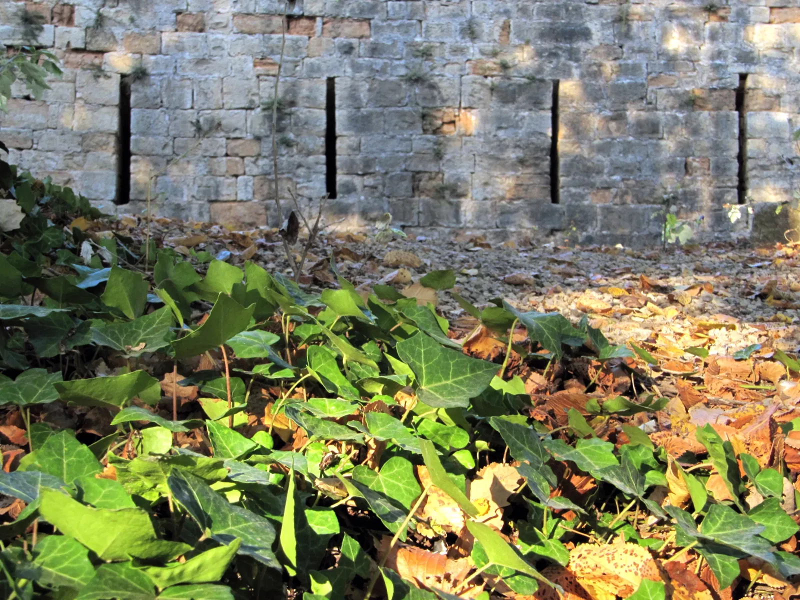 Los Molinos de la Vila