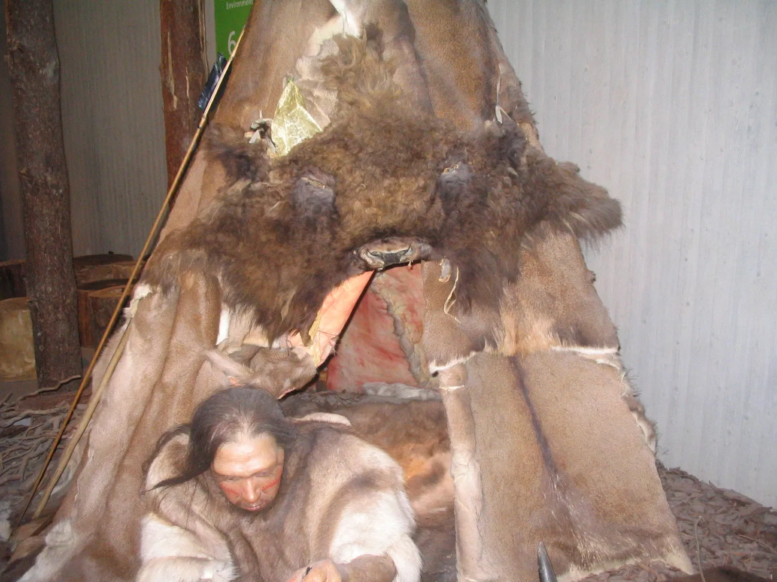 Museo de Neanderthal