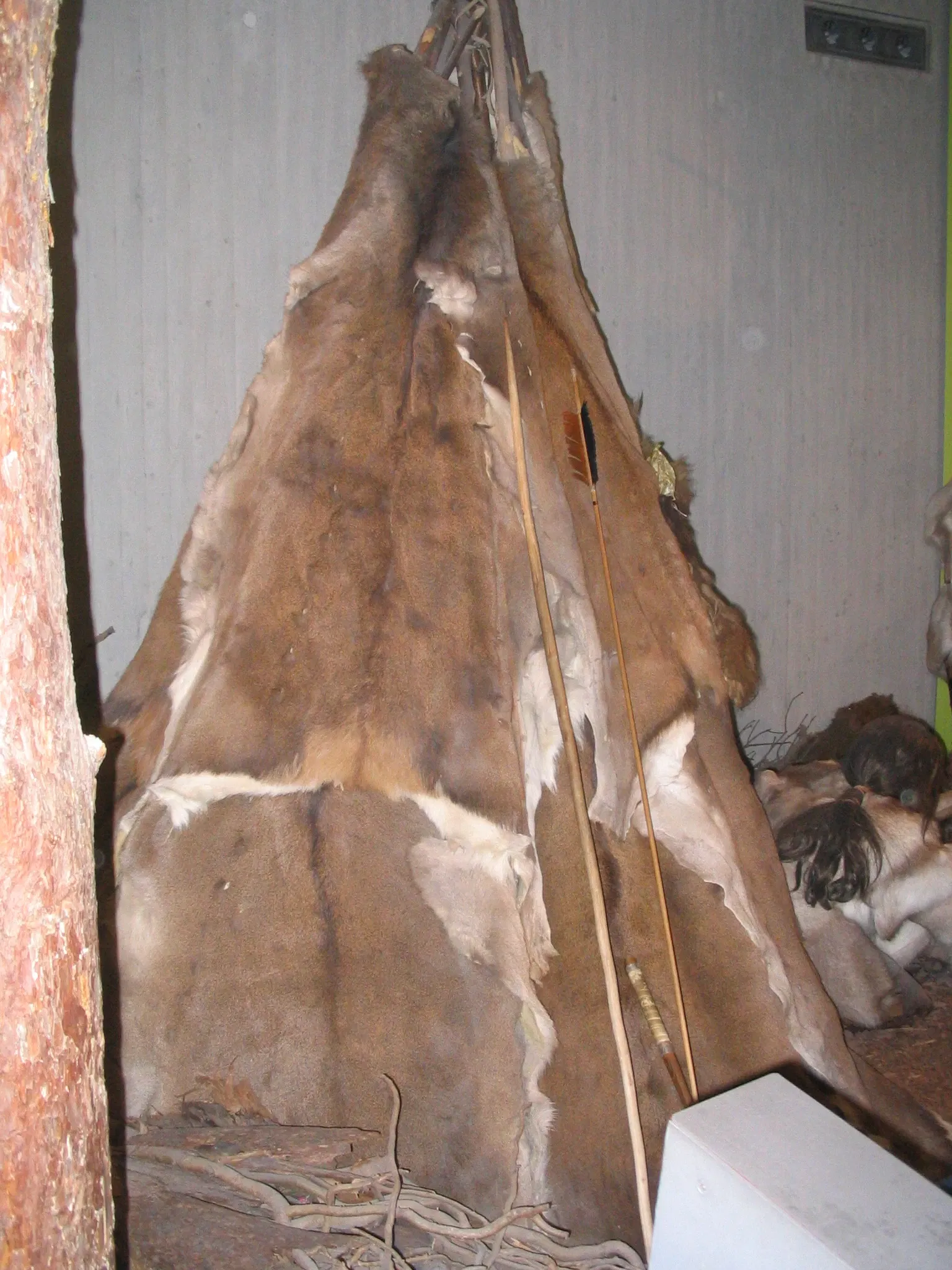 Museo de Neanderthal