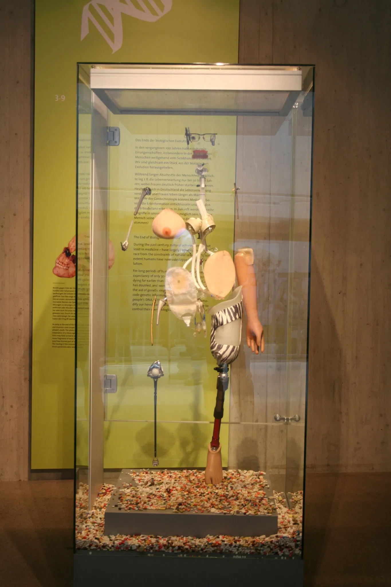 Museo de Neanderthal