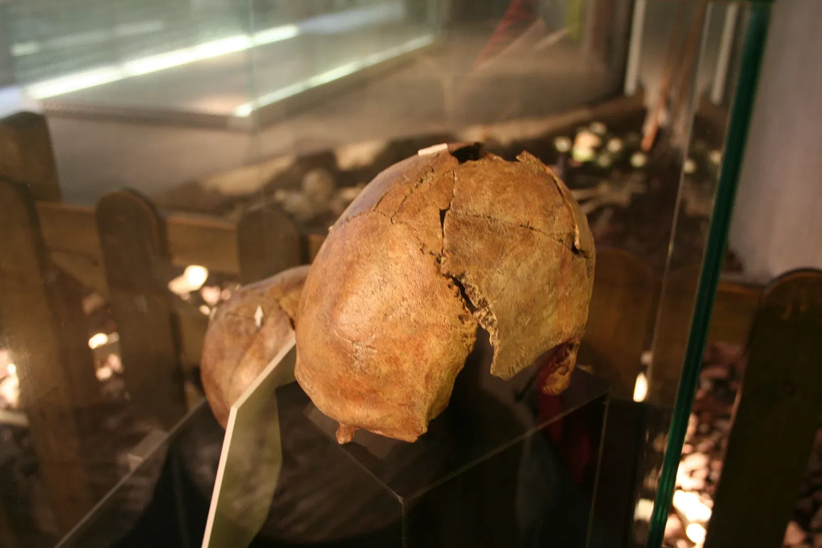 Museo de Neanderthal