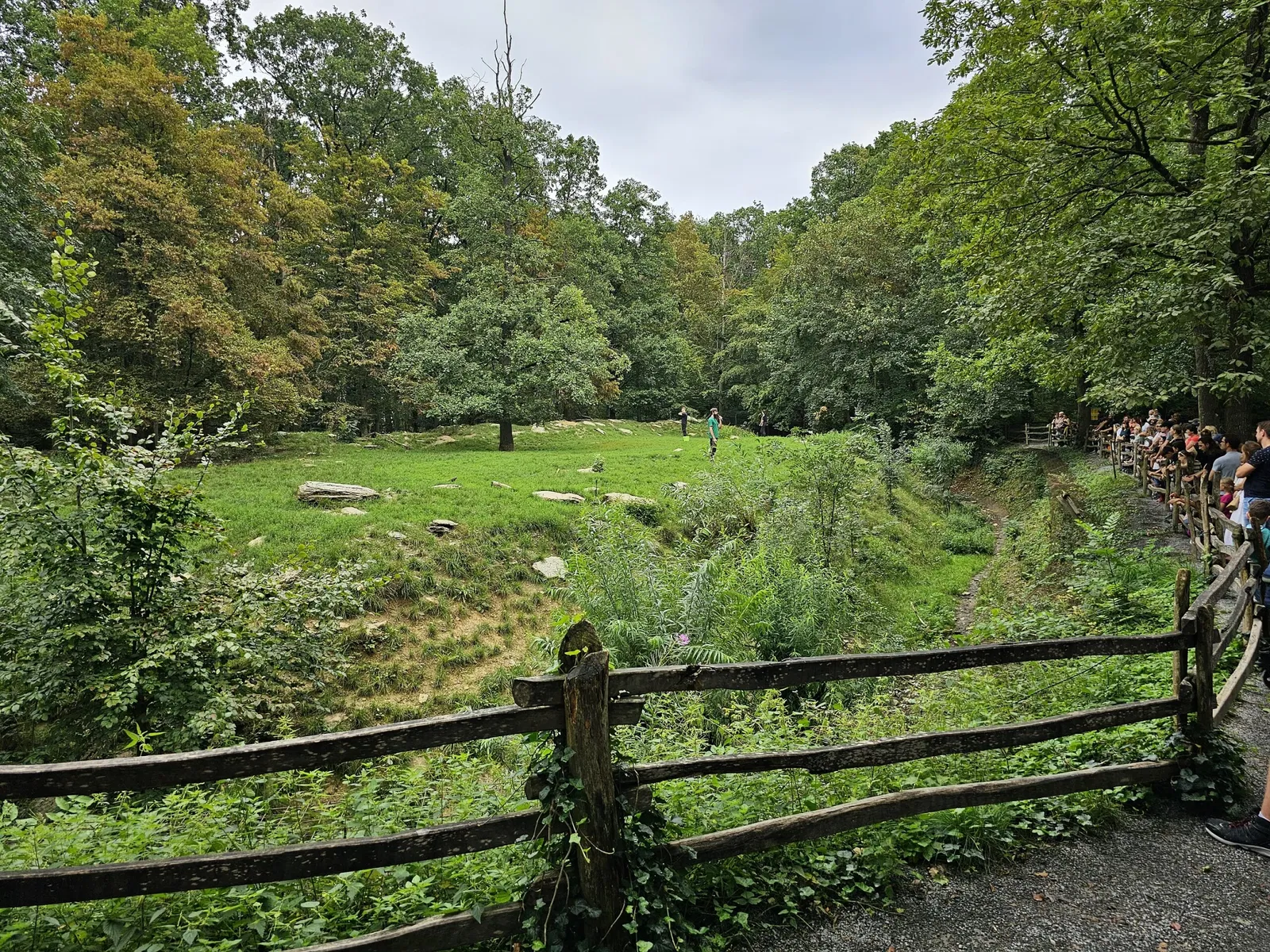 Bad Mergentheim Wildlife Park