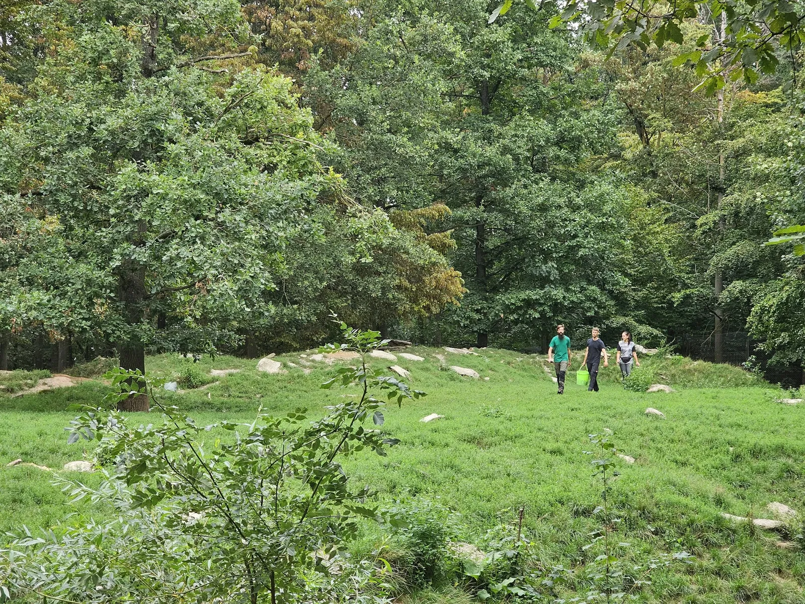 Bad Mergentheim Wildlife Park
